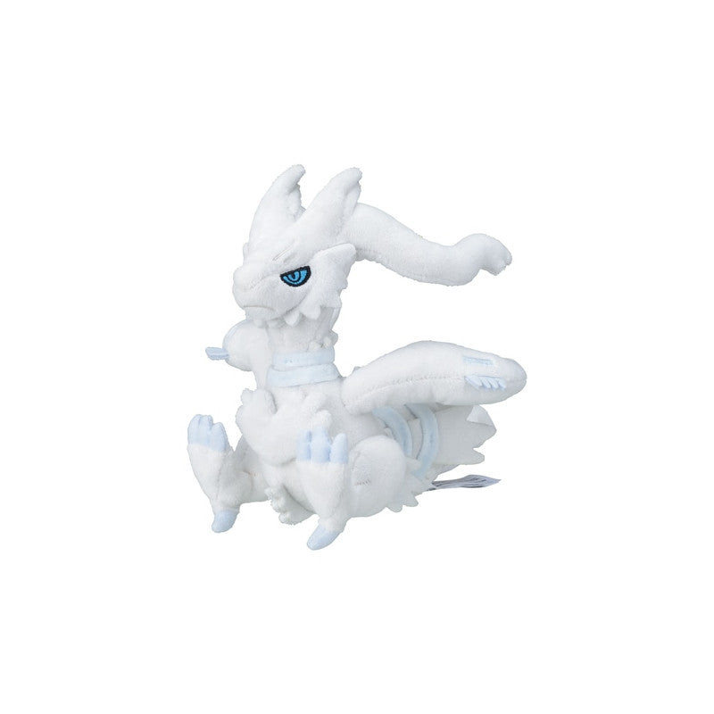 Reshiram Pokémon Fit