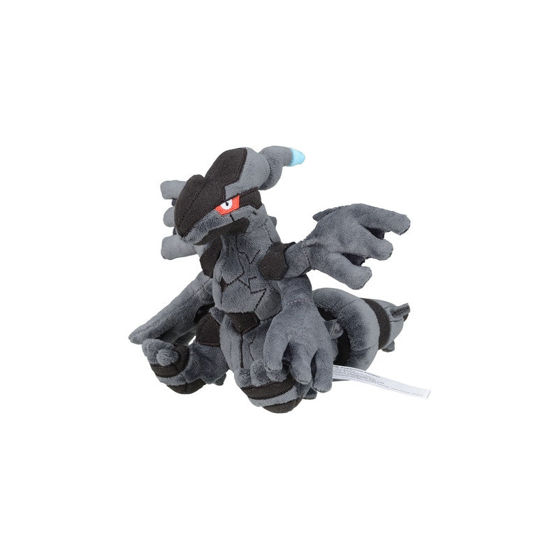 Zekrom Pokémon Fit