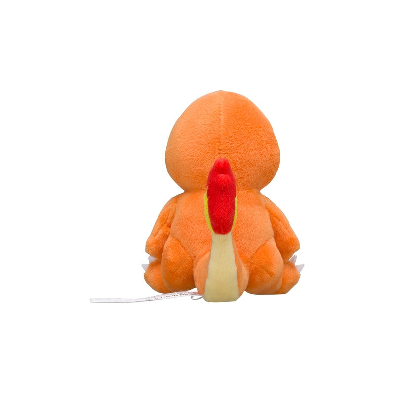 Charmander Pokémon Fit