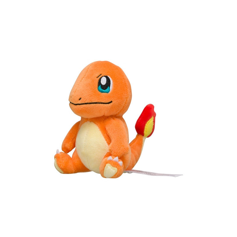 Charmander Pokémon Fit