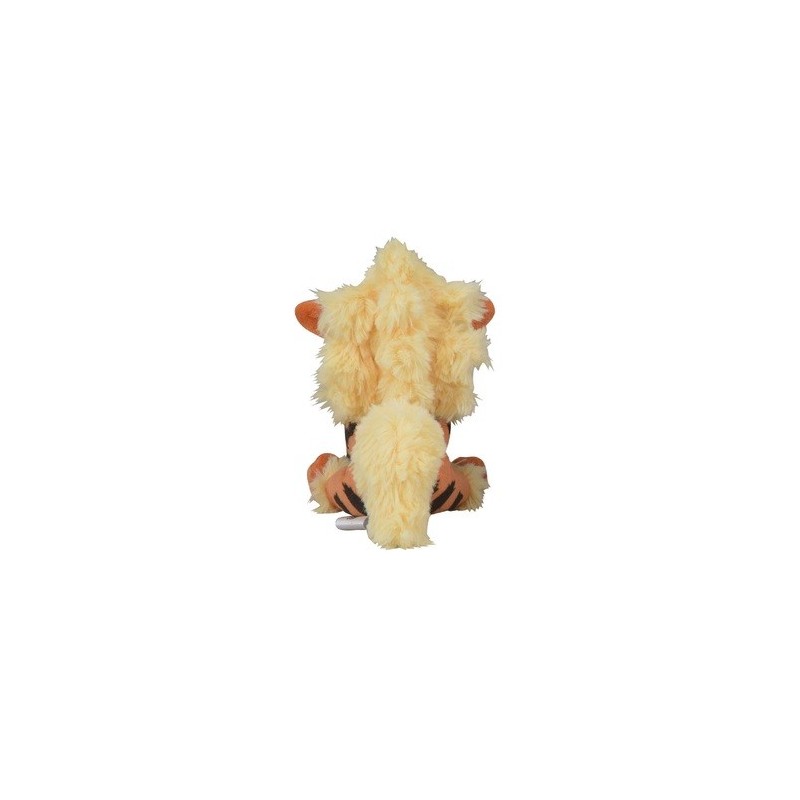 Arcanine Pokémon Fit